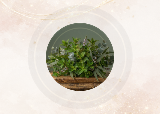 Fragancia menta-eucalipto para velas