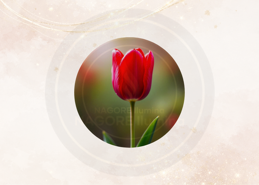 Fragancia tulipan para velas
