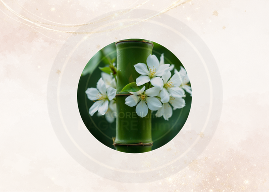 Fragancia bambú jazmín para velas