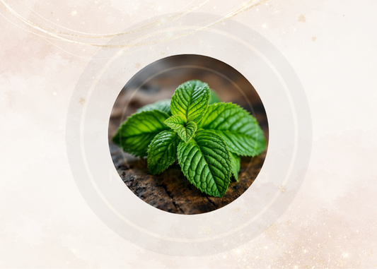 Fragancia hierbabuena para velas
