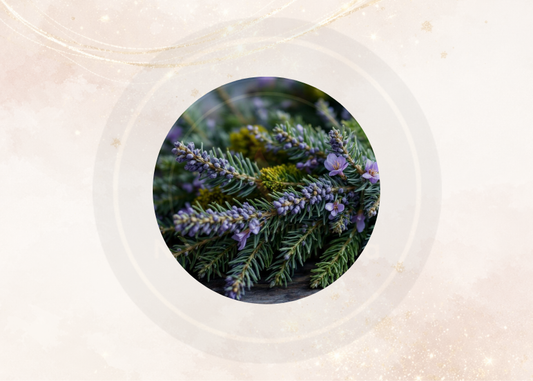 Fragancia pino navidad para velas