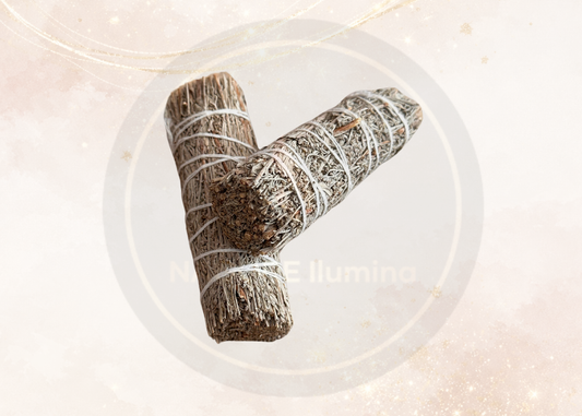 Salvia Blanca (3 pzas)  | Planta Aromática para Sahumerio, Meditación y Bienestar